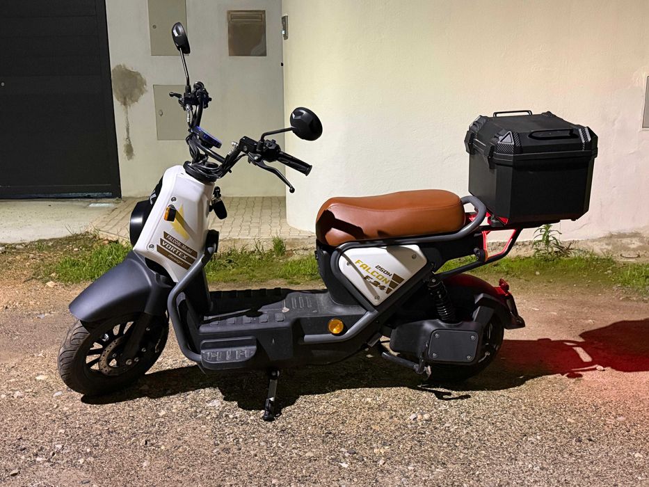 Mota Elétrica - Vortex Goose Falcon F24 250w
