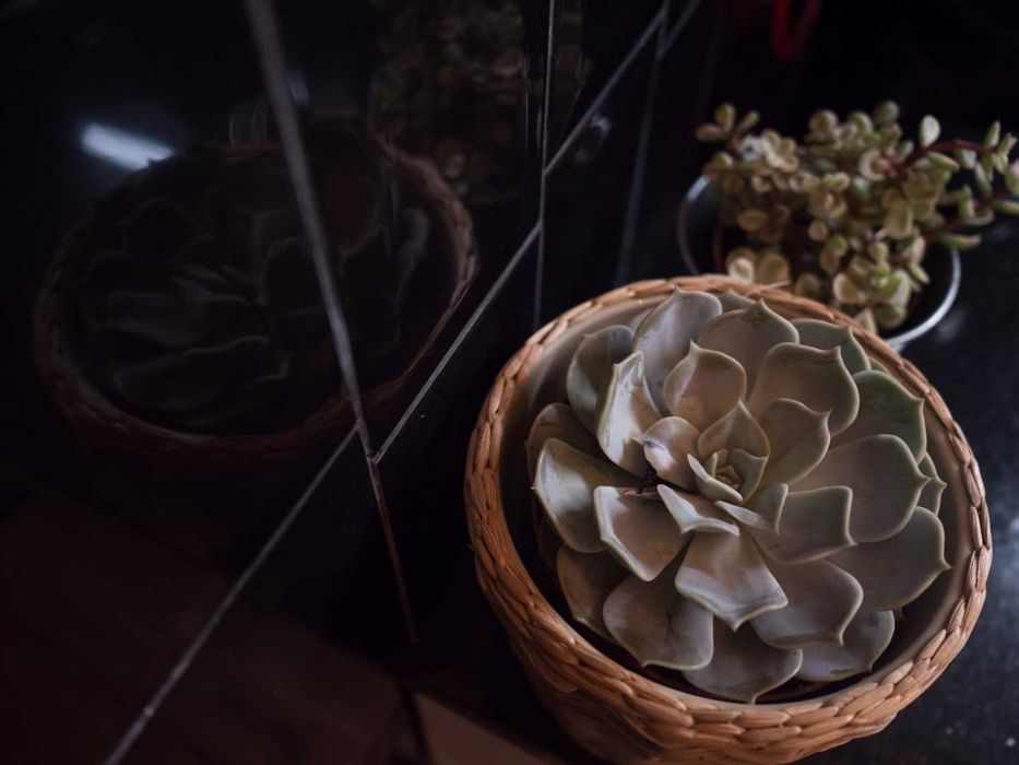 Estudio T0 Centro do Porto, Luz natural, vistas desafogadas ARRENDAR