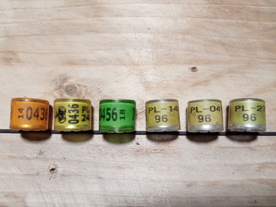 Obrączki dla gołębi pocztowych