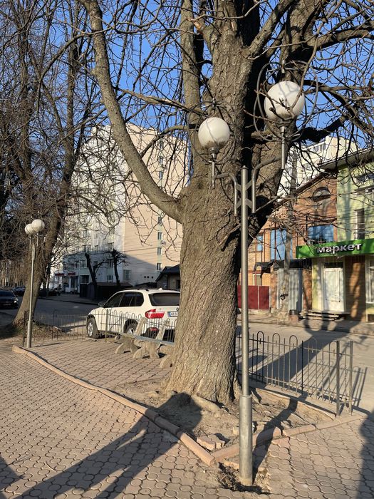 Тротуарна плитка