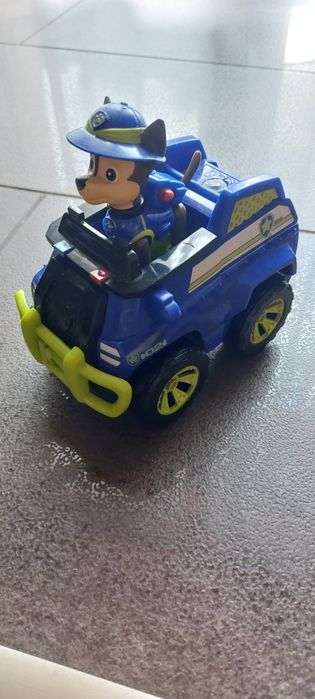 Psi patrol Chase