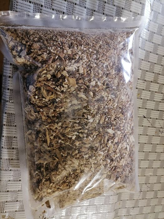 Грибна приправа. Гриби сушені.