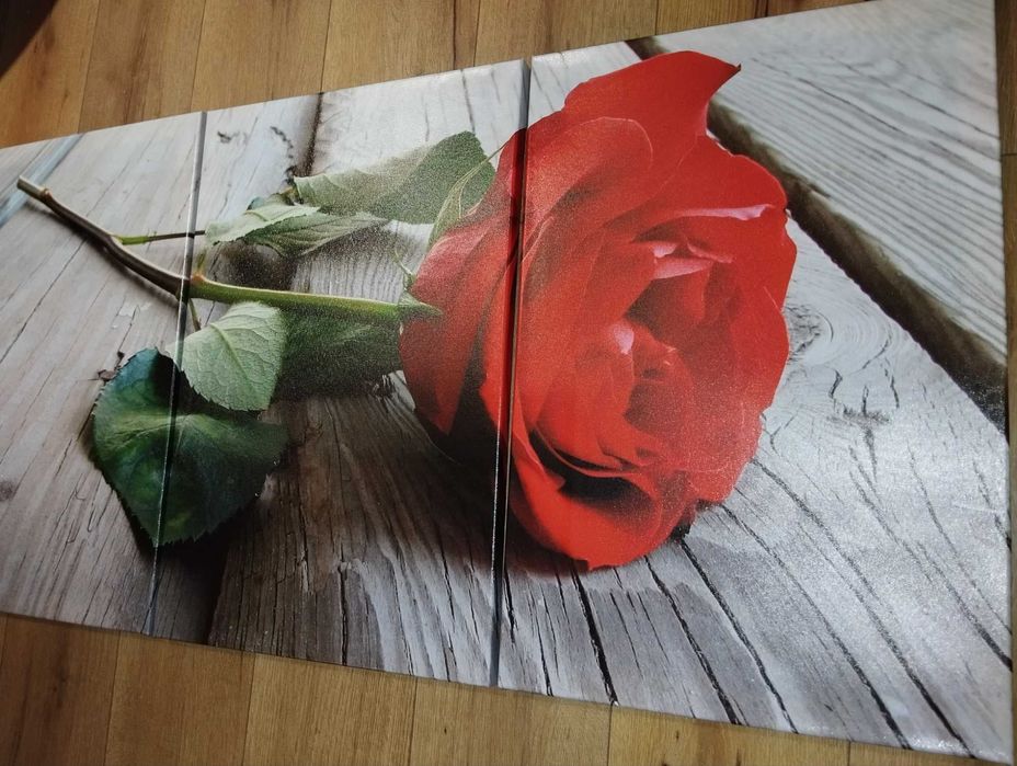 Obraz drukowany na płótnie - czerwona róża na deskach