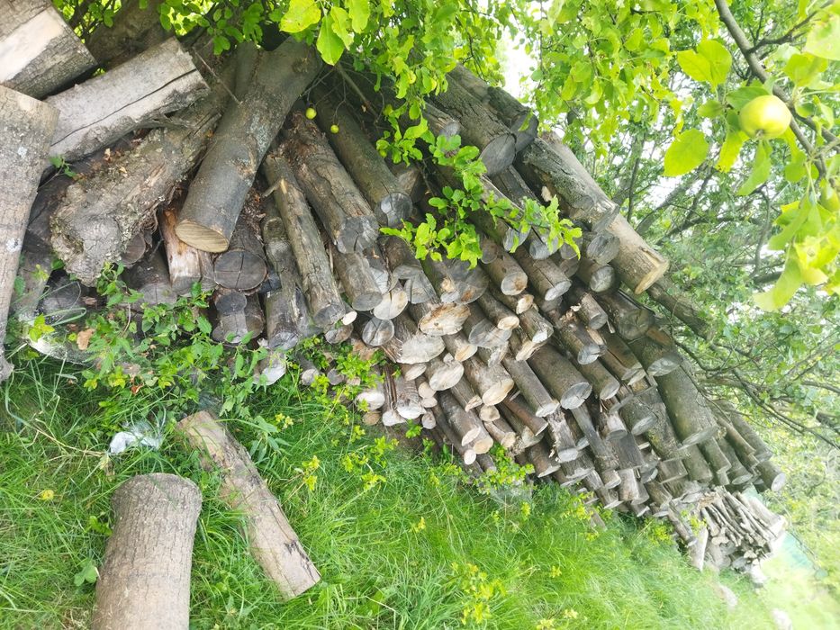 Drewno opałowe suche (dąb buk grab jesion)