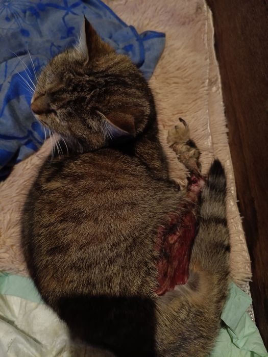 Прошу допомоги!!