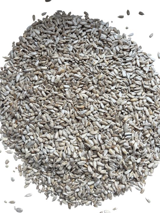 Słonecznik łuskany II gatunek 20 kg gratis Kolba tluszczowa