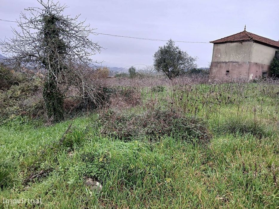 Terreno  para venda — Santiago E São Simão De Litém E Albergaria Dos Doze, Leiria