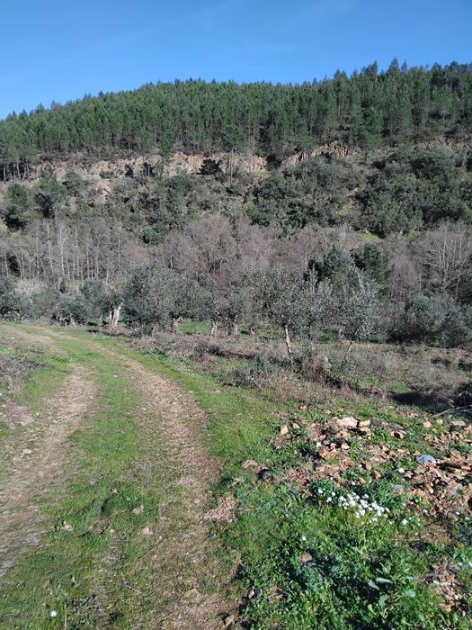 Terreno a beira da ribeira!