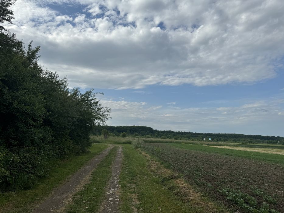 Продам план с.Пійло