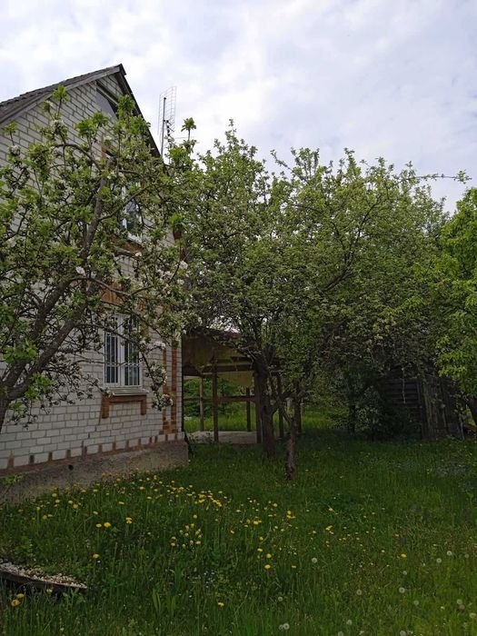 Продам дачу в Барашівці (3 км від Житомира).