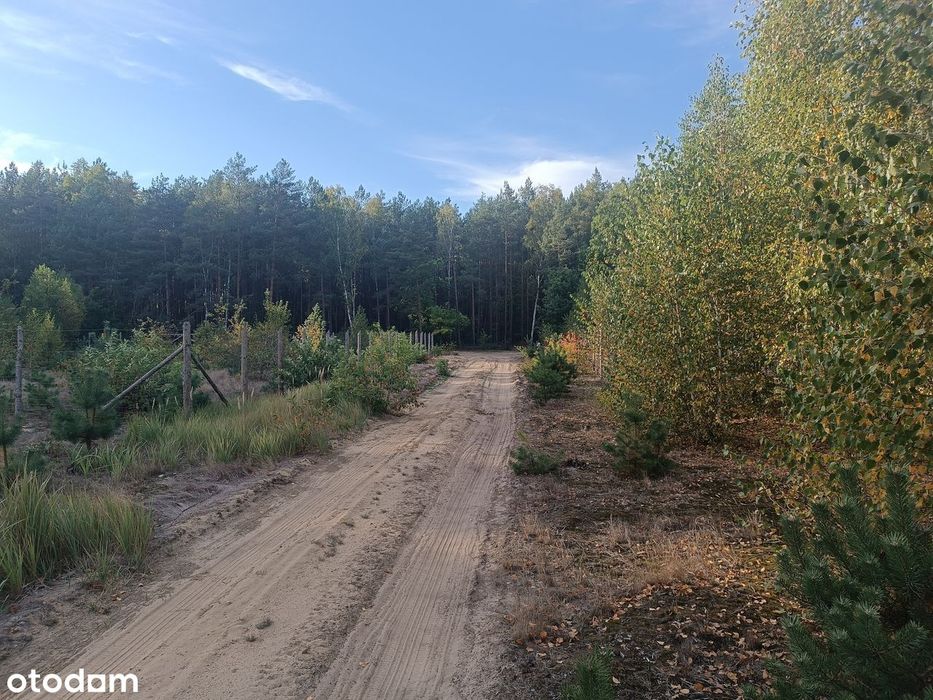 Działka budowlana 2250 m² blisko lasu