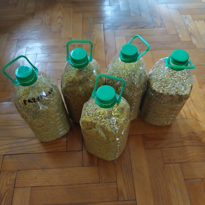 Bulion przyprawa bez glutaminianu monosodowego 5 l x5