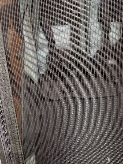 Przyczepka rowerowa Thule Chariot Cross 2, kolor Alaska