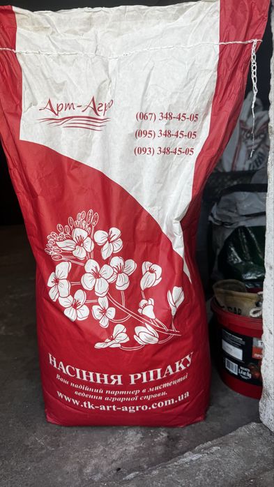 Насіння ріпаку озимого ламбер
