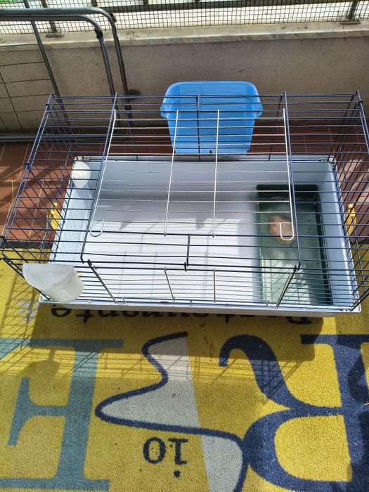 Gaiola para roedor