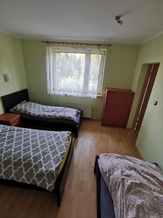 Wynajem pokoi/noclegów