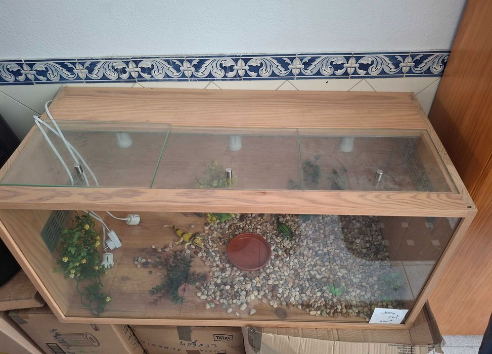 Terrário para répteis