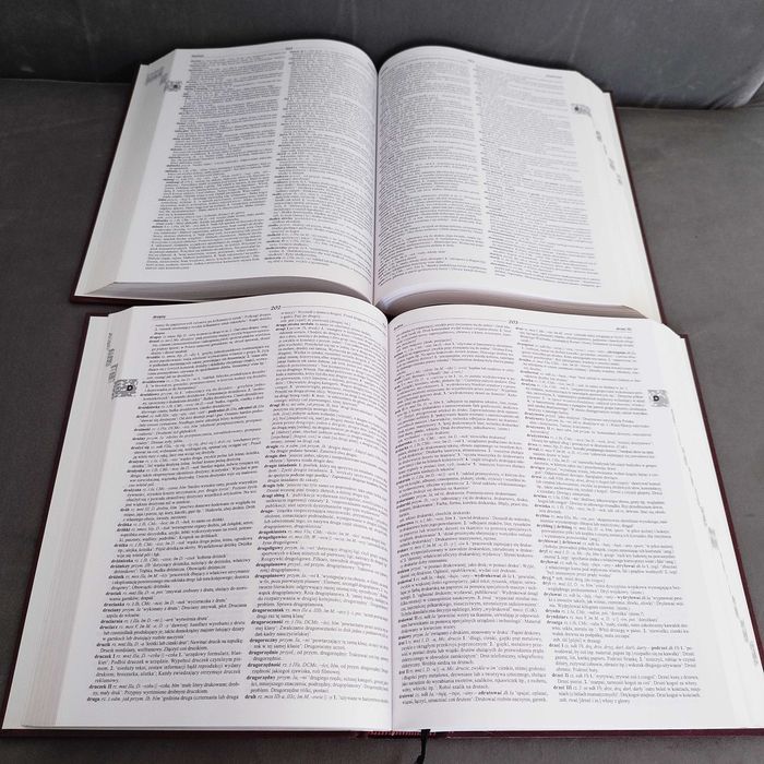 Słownik współczesnego języka polskiego Tom 1 i 2 Reader's Digest