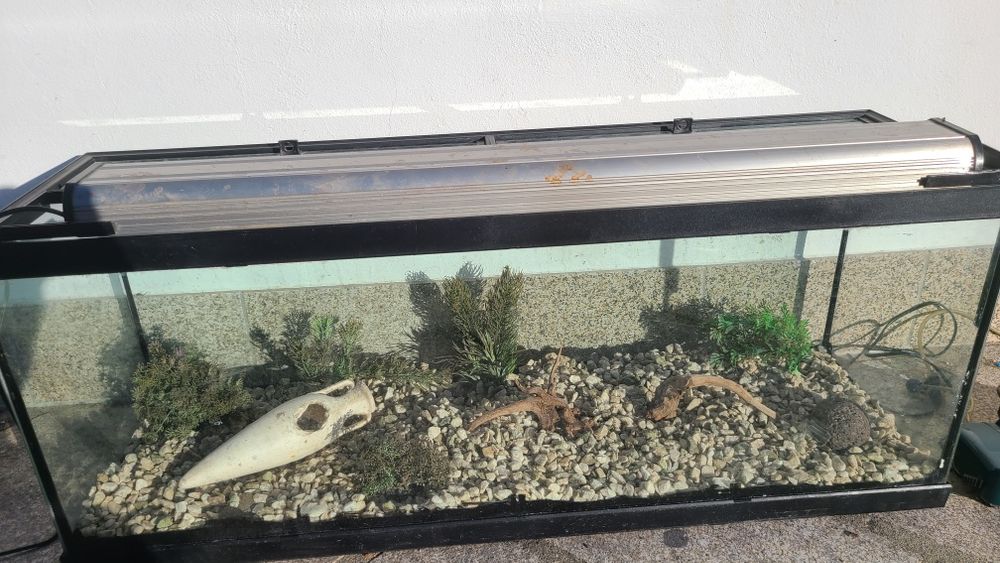 Aquario completo 120L