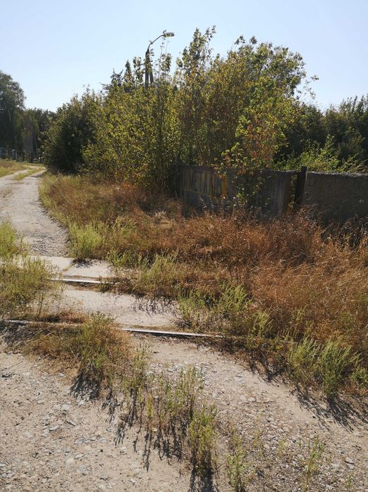 Комерційна нерухомість