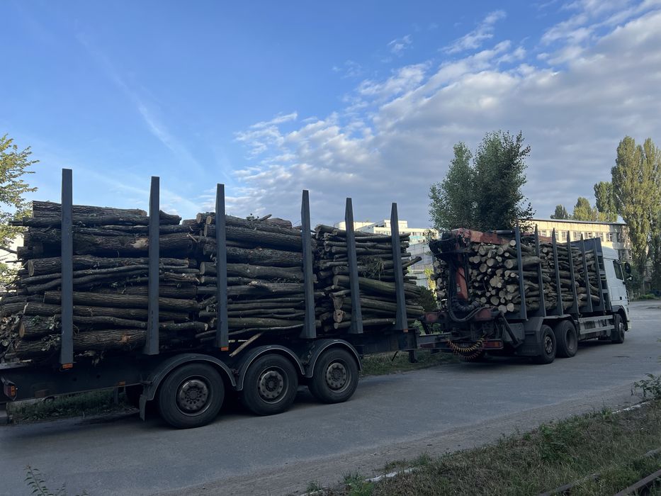 дрова оптом Київ та область