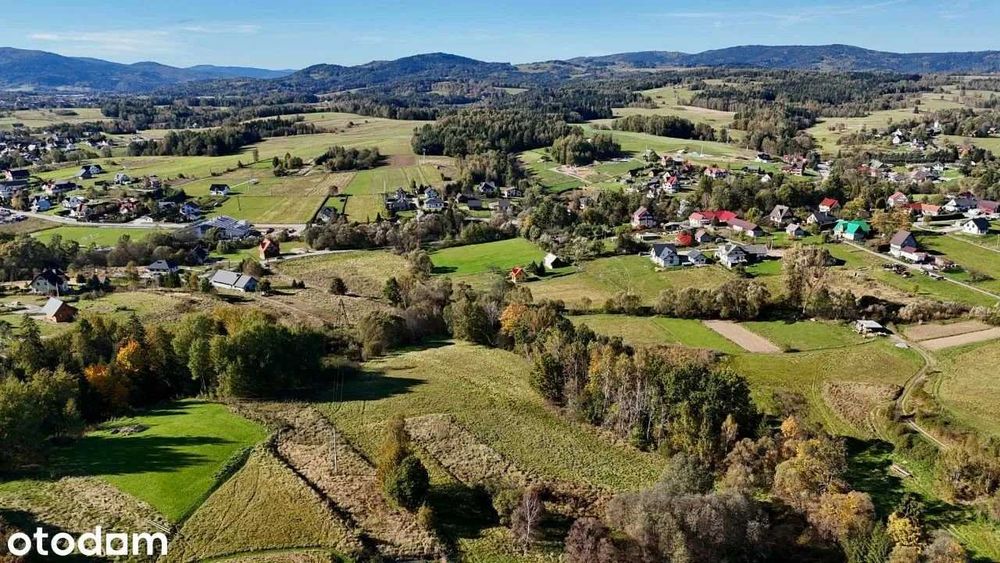 Działka budowlana INWESTYCYJNA w NAPRAWIE! - 1 ha - Widok 3