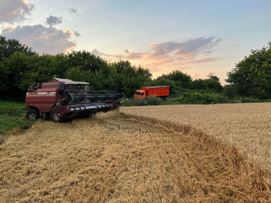 Зернозбиральний комбайн Полісся КЗС1812. Продам.