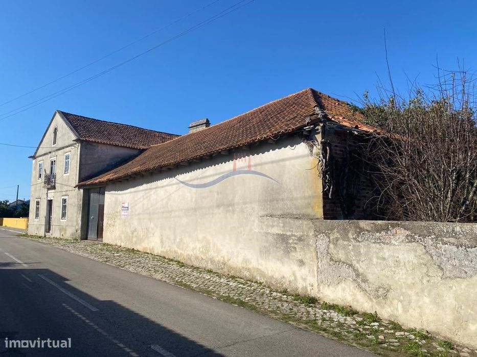 Quintinha - Zona Monte Real