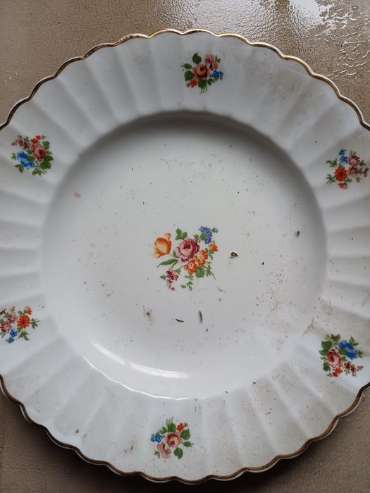 Pratos da vista alegre