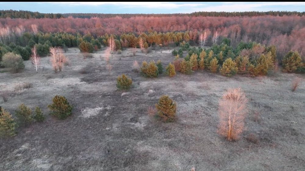 Ділянка 4га, перша лінія річки Десни