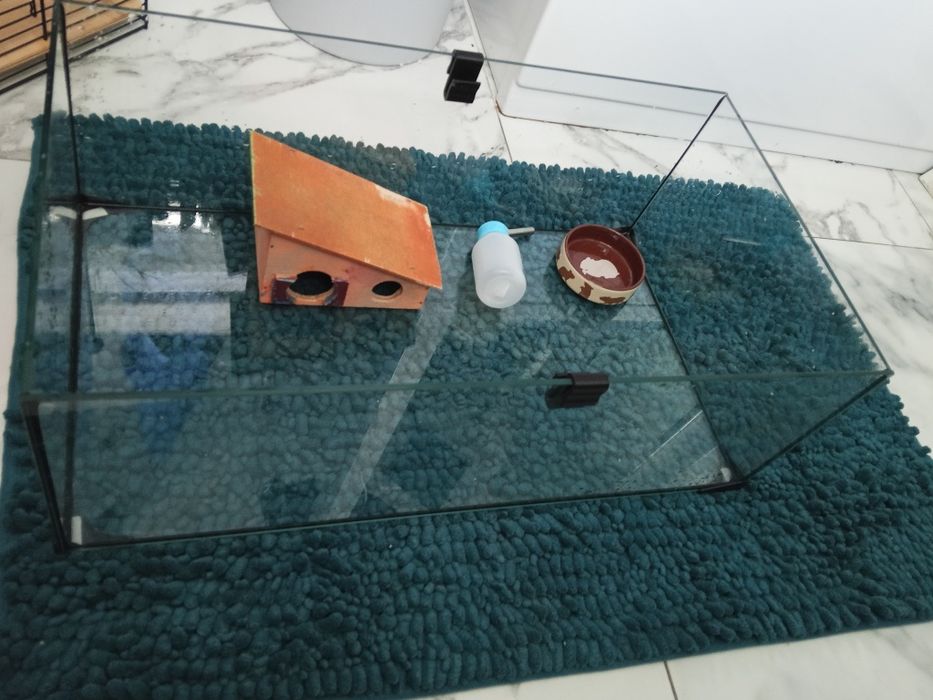 Szklana kuweta z klatką dla chomika myszki itp