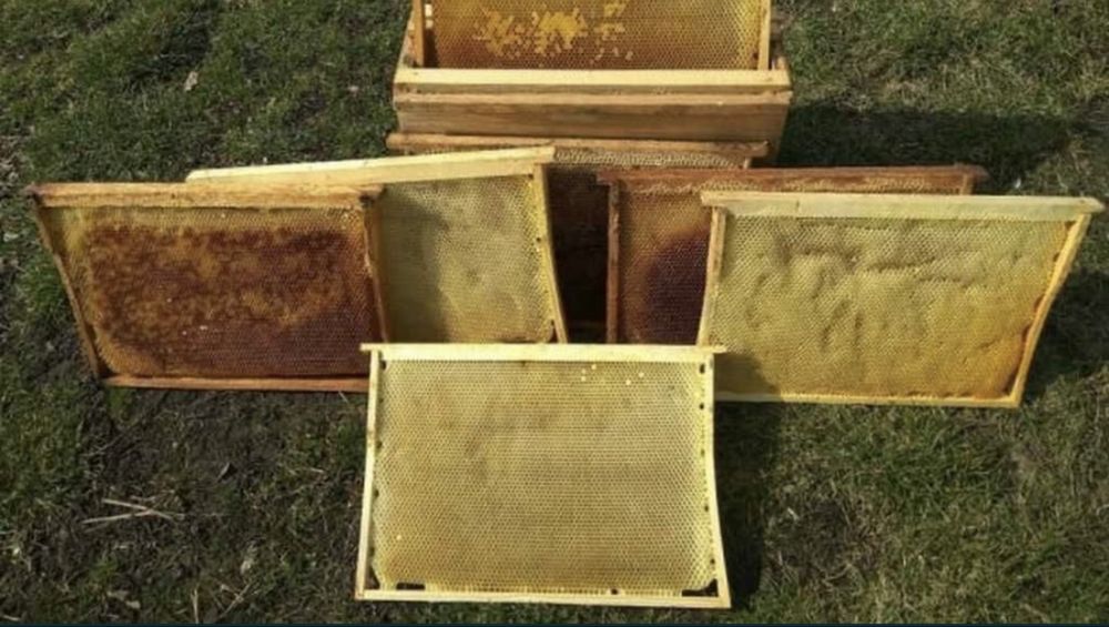 Суш для бджіл гарна