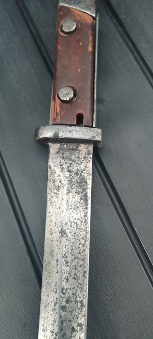 Bagnet Polski Perkun,