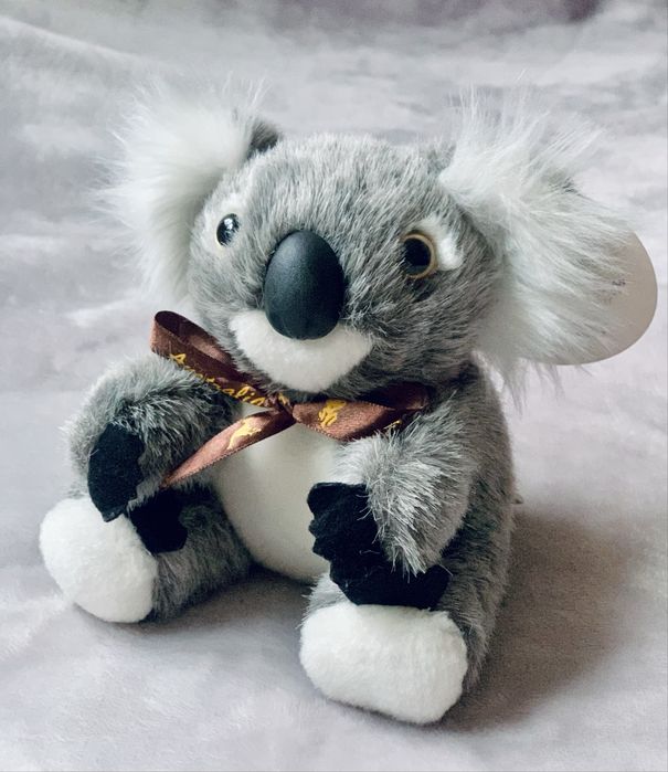 Miś Koala • maskotka kolekcjonerska z Australii