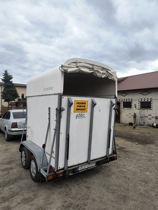 Wynajem przyczepy transport zwierząt