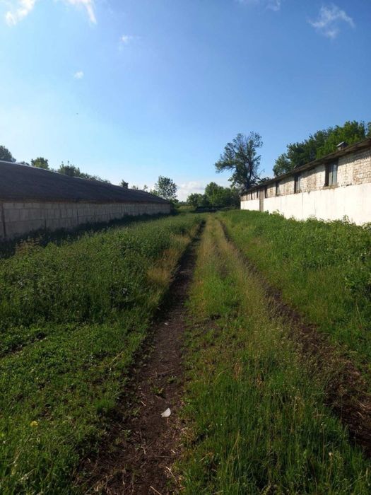 Продаж БЕЗ% земельної ділянки с.Озеряни, Рівненська обл.