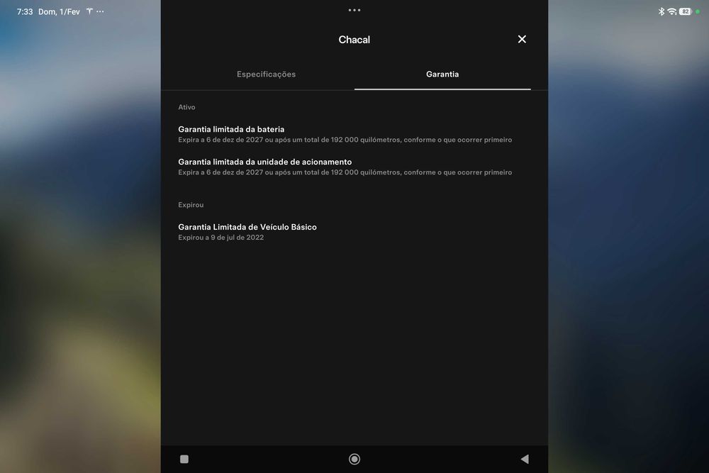 TESLA Model 3 Performance