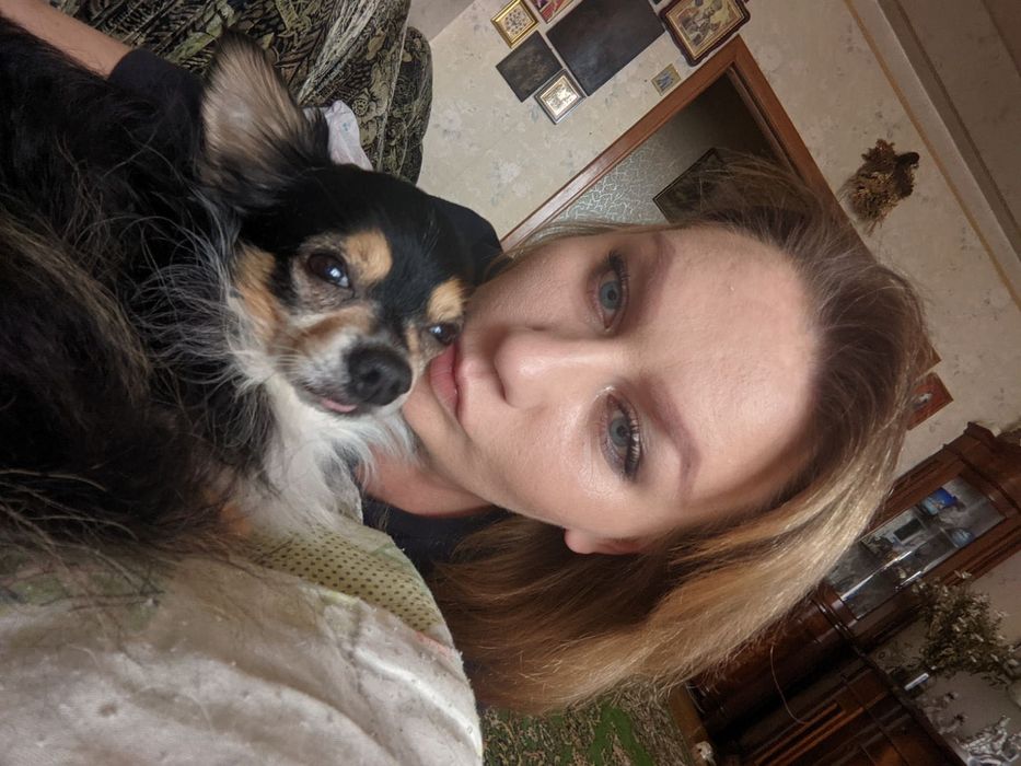 Зник чихуахуа пес
