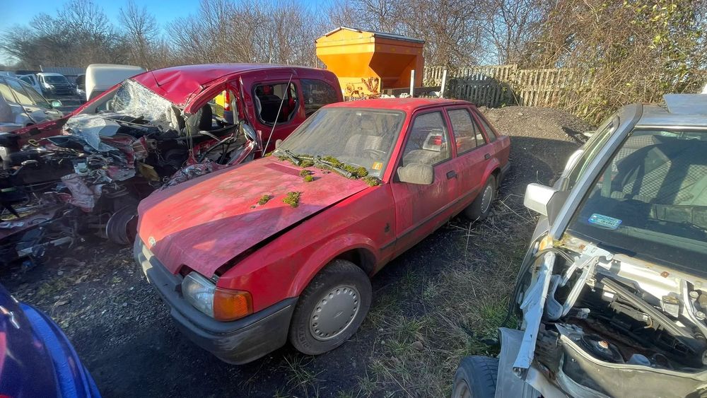 FORD ESCORT NA CZĘŚCI!!!