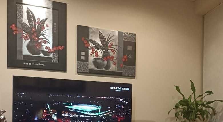 Picture + Canvas Set €40427871504370903043