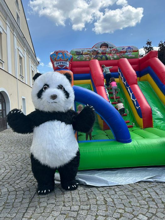 Biały Miś 2.40 m na imprezie urodziny,wesela, animacje studniówka