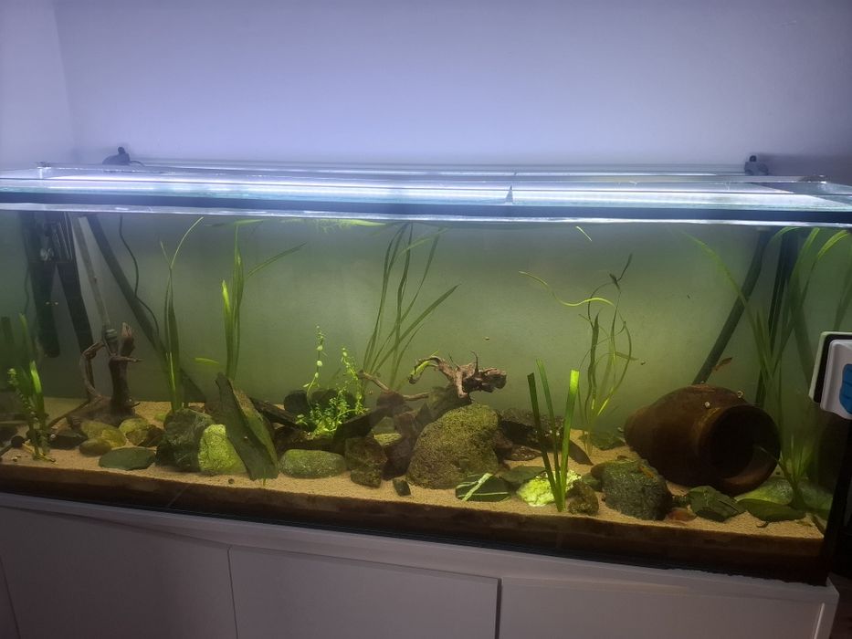Aquário+móvel+peixe+acessórios