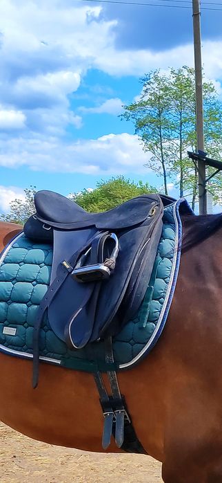 Сідло для коня Wintec Pro Feldmann. Коні , кобила