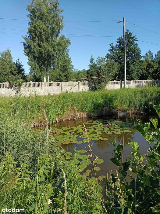 Sprzedam dużą, malowniczą działkę z domkiem Brzeźce k. Białobrzegów