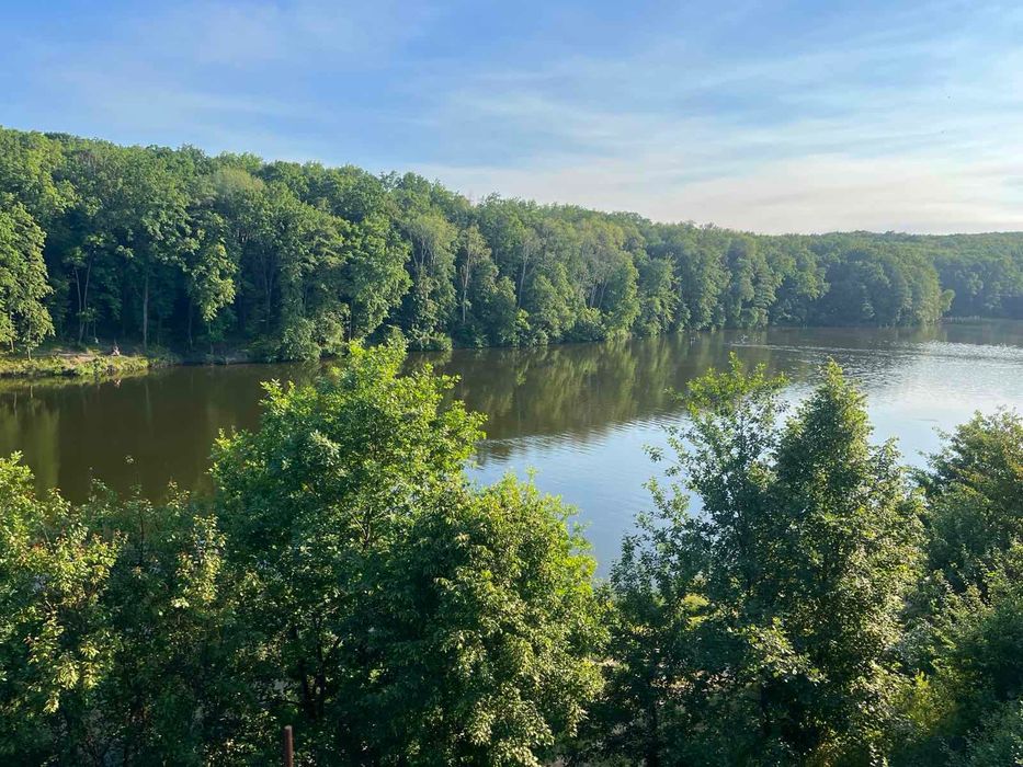 Сдам уютный дом  с баней  На берегу пруда.