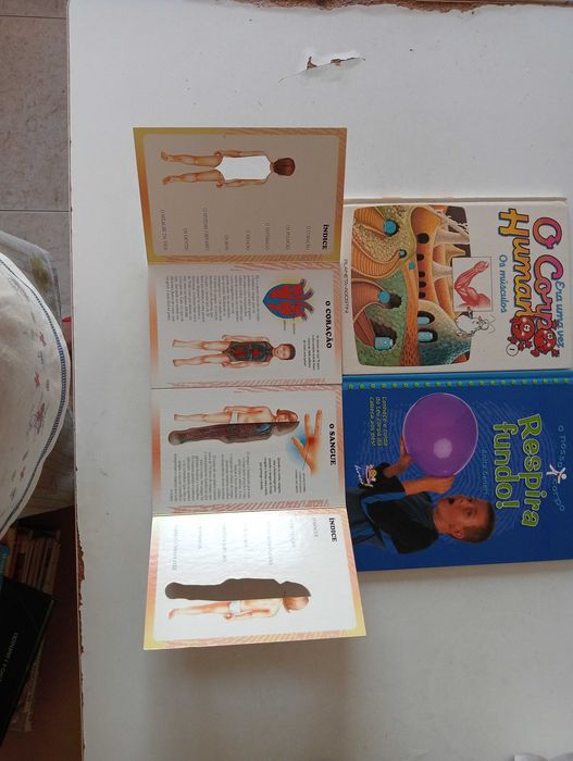 3 livros sobre o Corpo Humano Juvenil