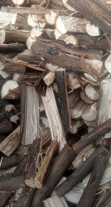 Vendo lenha seca de pinho 40€ m3 eucalipto 60€ m3