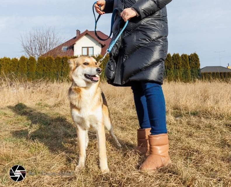 Miki rozgląda się za swoim domem