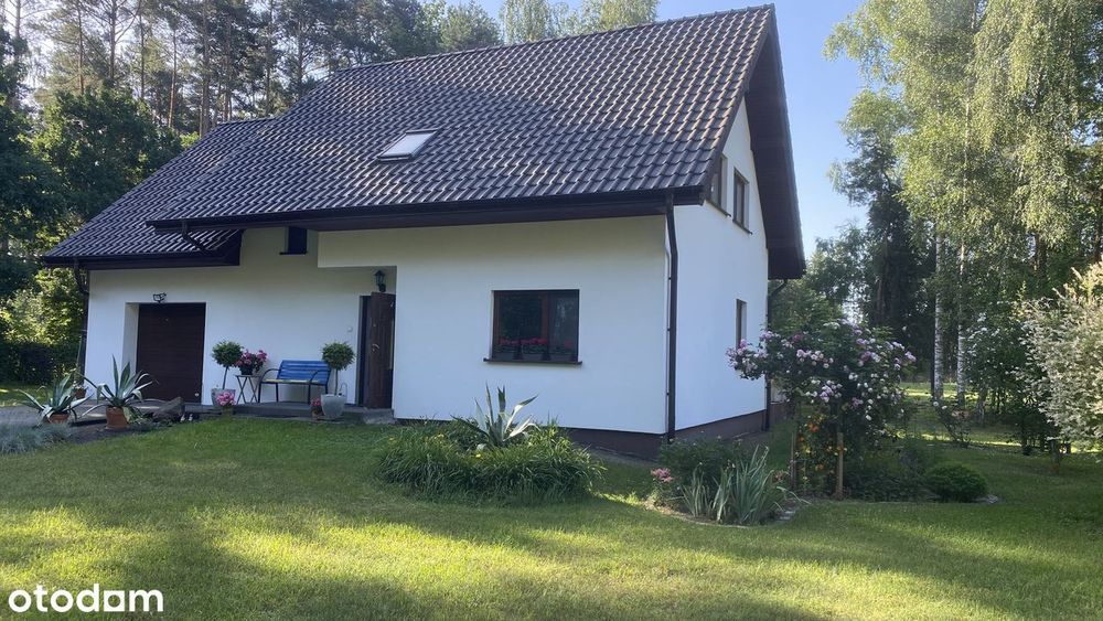 Wolnostojący dom w lesie