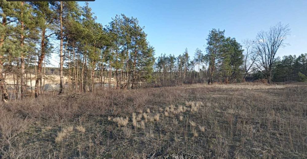 Продам участок 2 Га бизнес, коммерция, недвижимость, с. Рожны